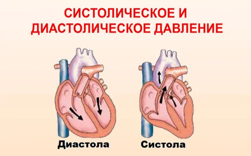 Давление в сердце в систолу и диастолу. Систола и диастола. Систолическое и диастолическое артериальное давление. Систола и диастола давление.