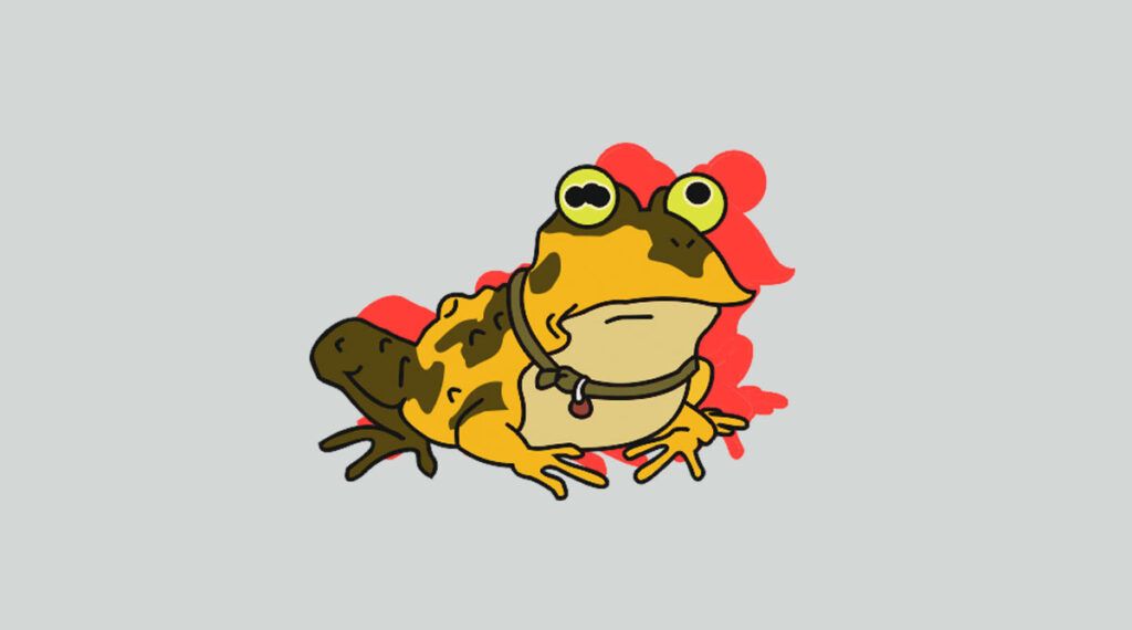 В чем разница между лягушкой и жабой